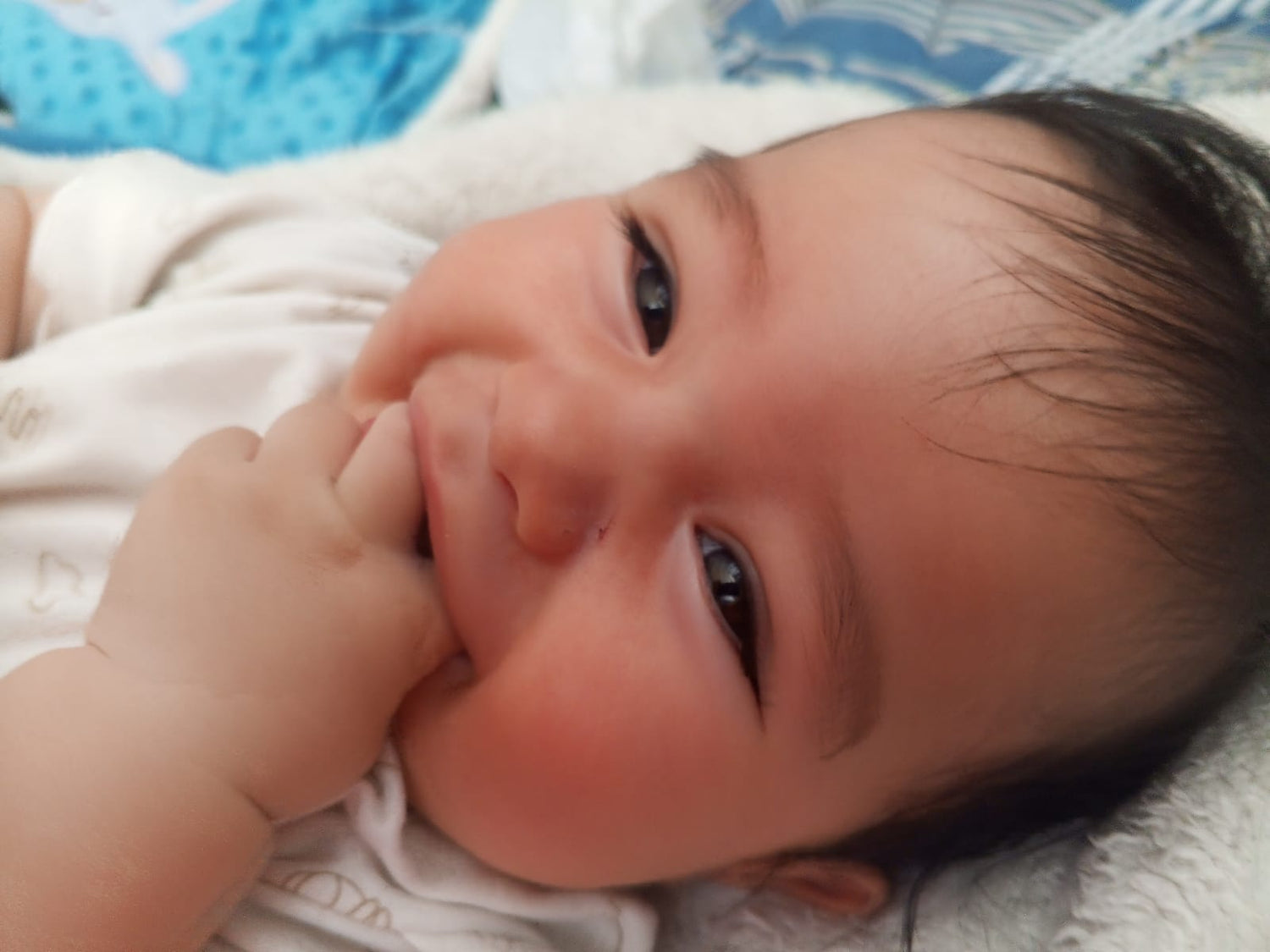 Bebés